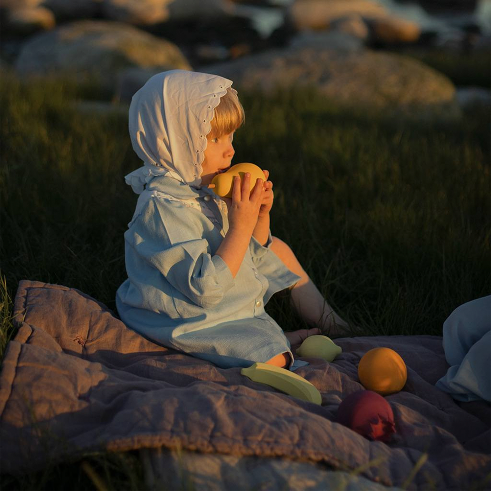 Wooden Fruits Set